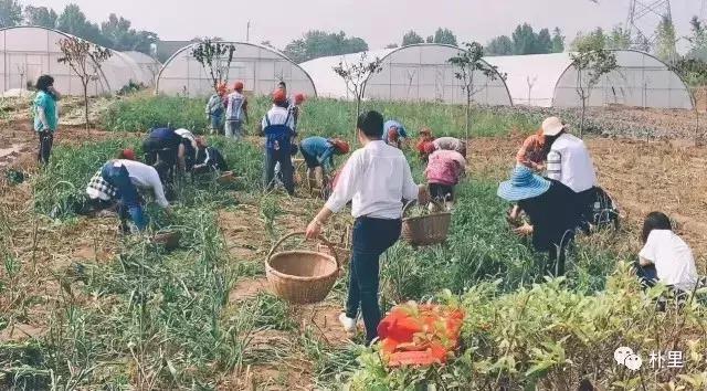 这个韩国欧巴11年前来西安，盖农场当农夫，还娶主播做媳妇儿