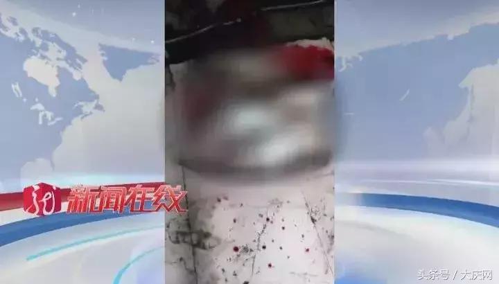 哈尔滨杀狗事件,哈尔滨惊现杀狗敲诈宠物店