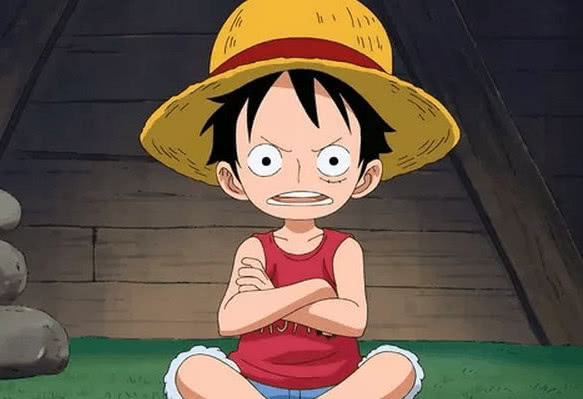 海贼王娜美bug,海贼王里娜美的霸道行为