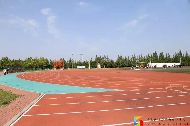 青岛港湾职业学院报考条件,青岛高考志愿填报推荐