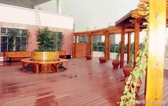 玩泥巴、踢球、跳舞也能上大学，海沧这中学咋这么有特点？