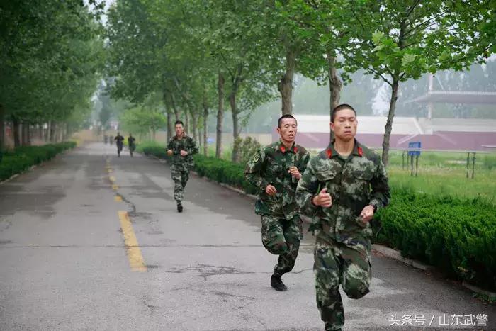 快乐体育教学模式案例,快乐体能训练100例