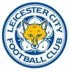 假如这些乐队是一支足球队