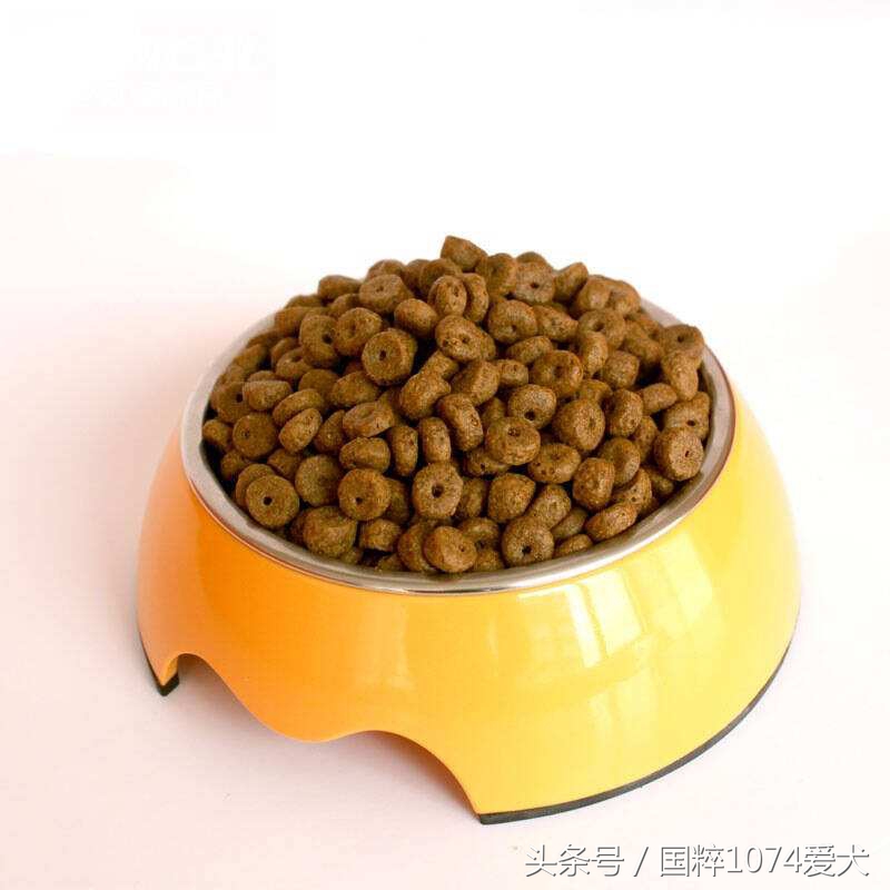 老龄狗适合的狗粮,柯基狗适合吃什么牌子的狗粮