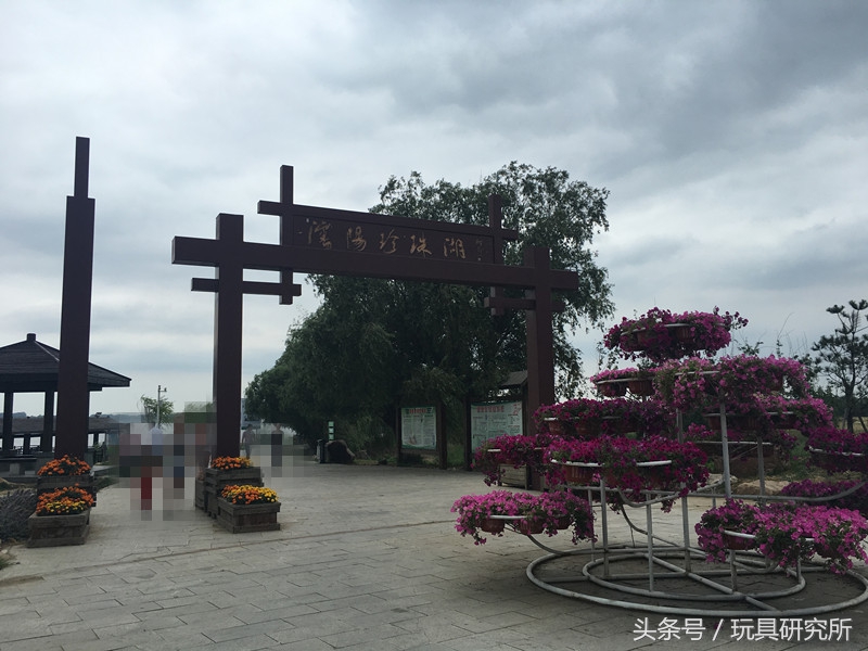 辽中珍珠湖看荷花带着孩子去哪儿玩珍珠湖环湖游沈阳周边游