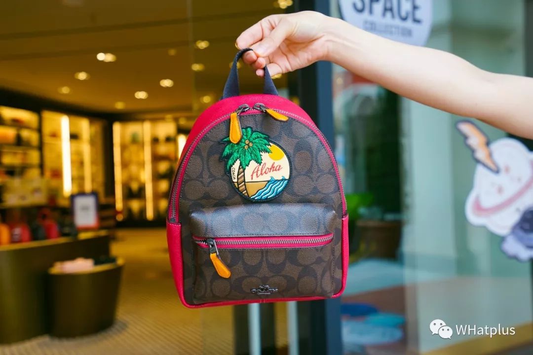 武汉新建的打卡小镇,武汉的一座小镇