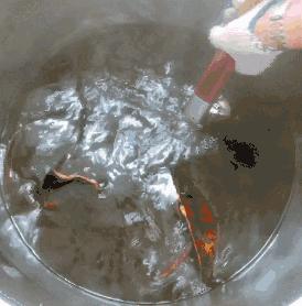 一周只卖3天网红龟苓膏，熬夜睇波食一盅即刻下火