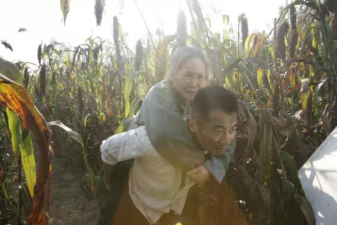 我不是药神战狼,苇青战狼二片段