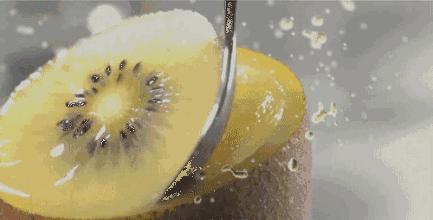 广州南沙冬天有番石榴摘吗,元旦广州摘番石榴