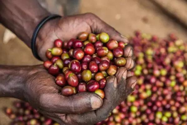 随身携带的小咖啡,随身携带的咖啡小型