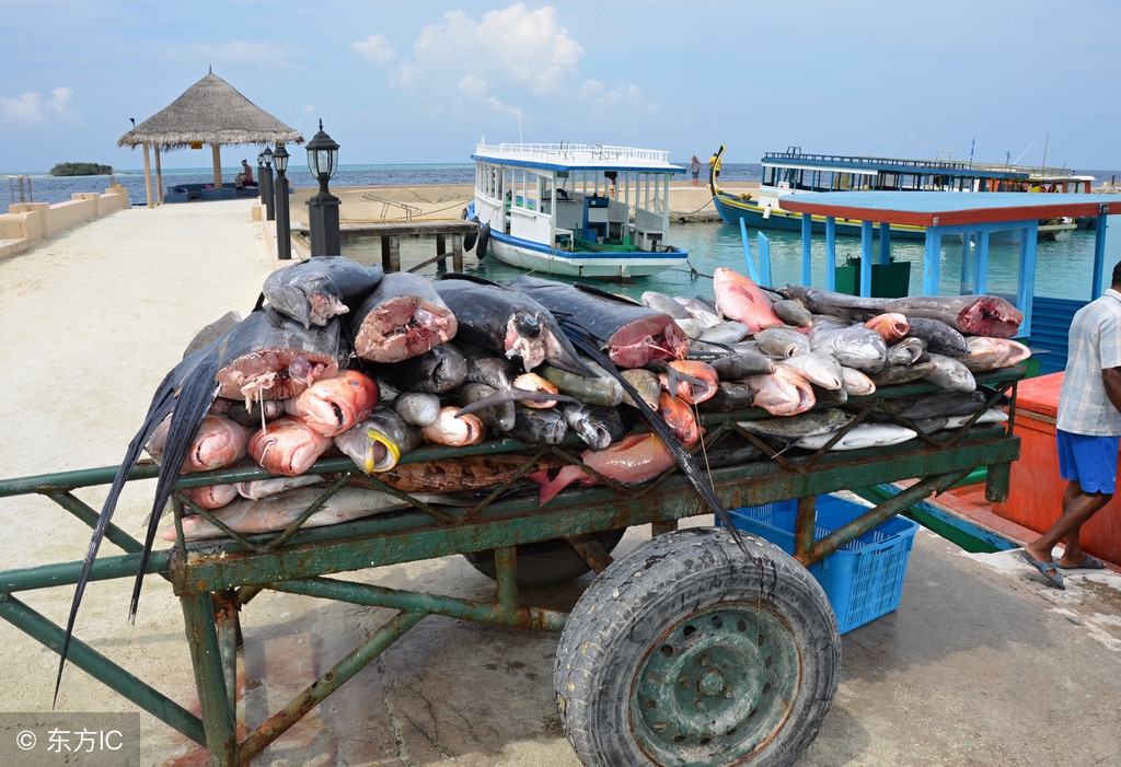 八大最小国家比故宫还小的,全世界最小的十大首都