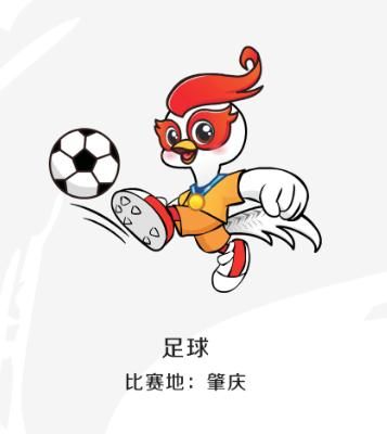 省运会青少年组击剑比赛收官,省运会击剑成绩