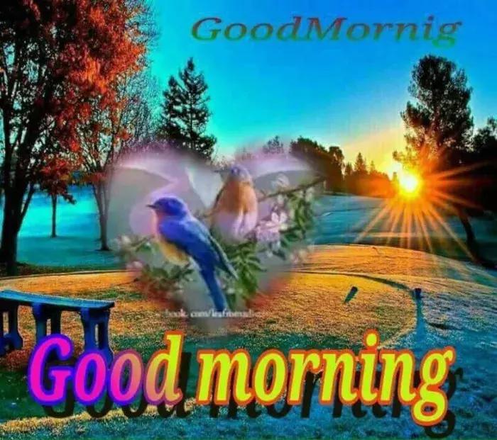 早安的句子简短带字图片,清晨早安简短心语