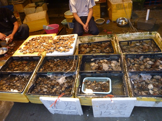 厦门旅游的必备攻略,厦门游玩攻略自由行一天夏天