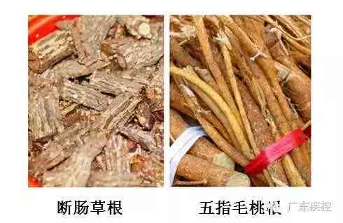 一锅汤毒倒一家六口有毒吗,一锅毒汤