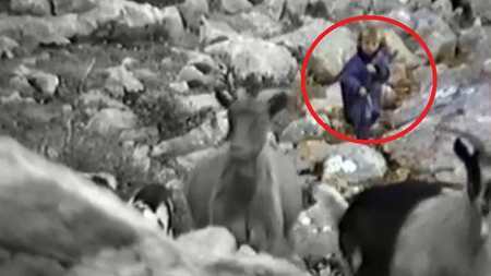 魔笛莫德里奇为什么叫魔笛,魔笛莫德里奇到底有多强