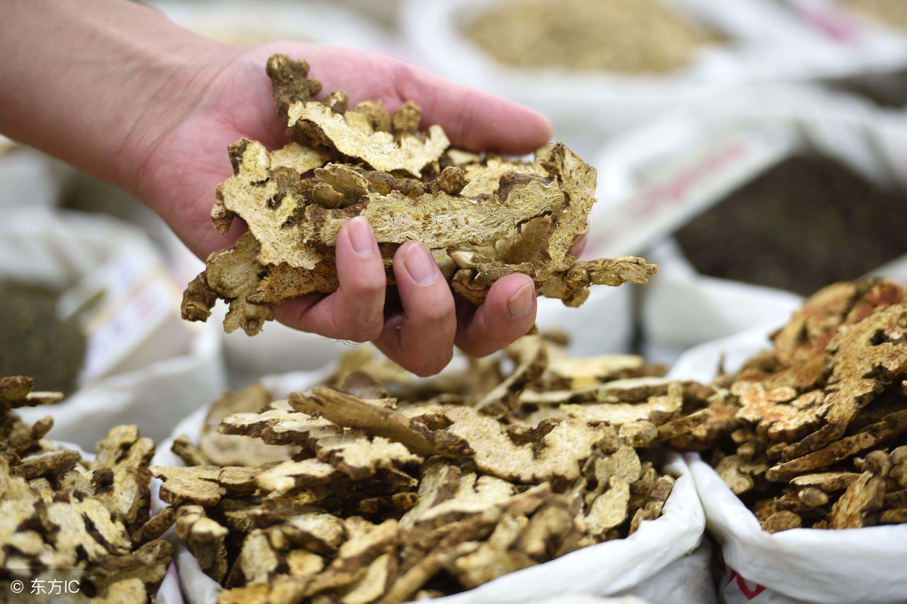 毒蛇咬伤外用哪些中草药,被毒蛇咬伤有哪些民间中草药