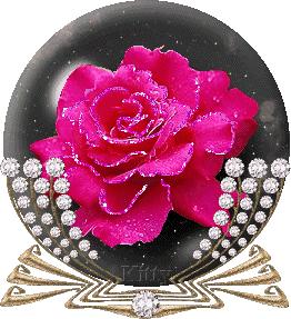 祝你天天快乐早上好图片,祝大家早上好天天有个好心情