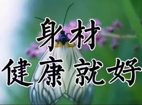 祝你天天快乐早上好图片,祝大家早上好天天有个好心情