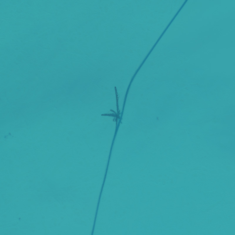 比碰碰车蛮横的是坦克,比Tank更横的是北冰洋上的巨型油罐