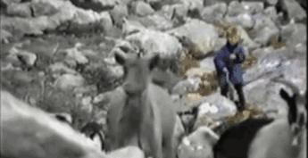 世界杯冠军亚军历史,世界杯冠军圆满退役