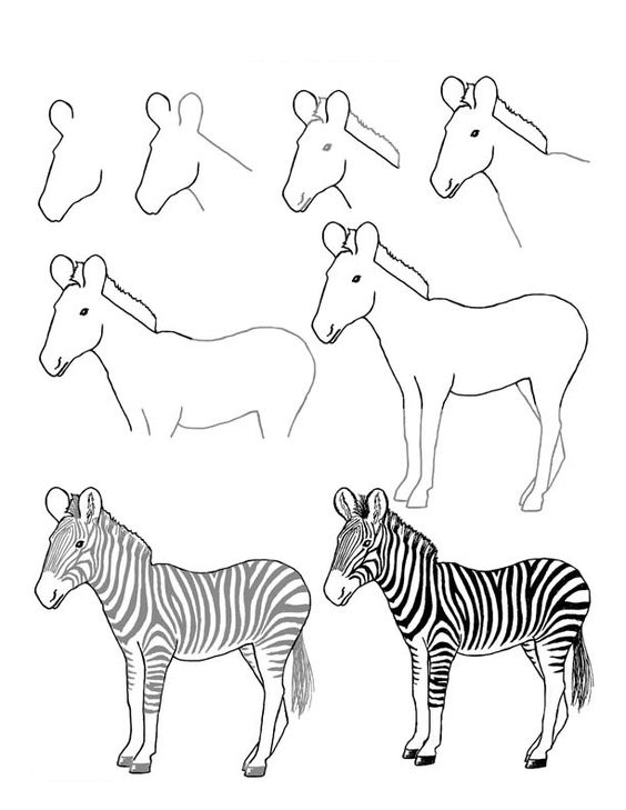 10000种超萌动物简笔画大全,简笔画动物教学视频大全