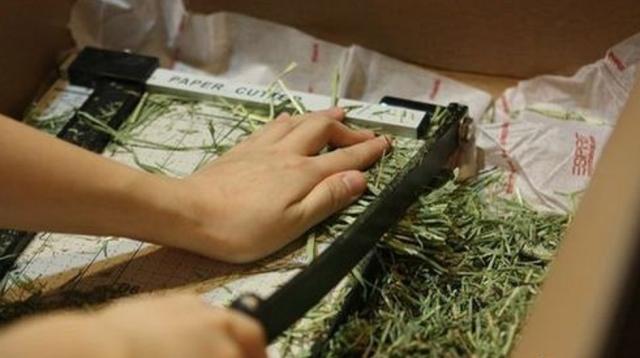 龙猫为什么不吃面包,为啥龙猫不吃营养膏