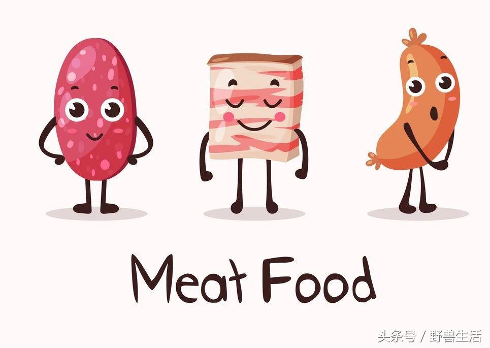 世界上最值得去的秘境,世界上南端的一处秘境