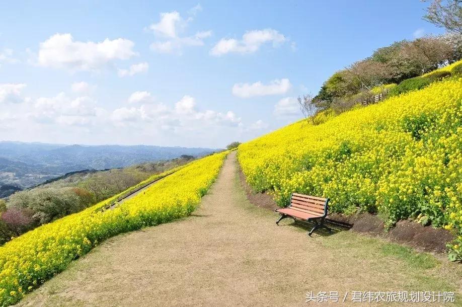 亲子牧场的标杆，看看这家年入2亿的母亲牧场是怎么做到的