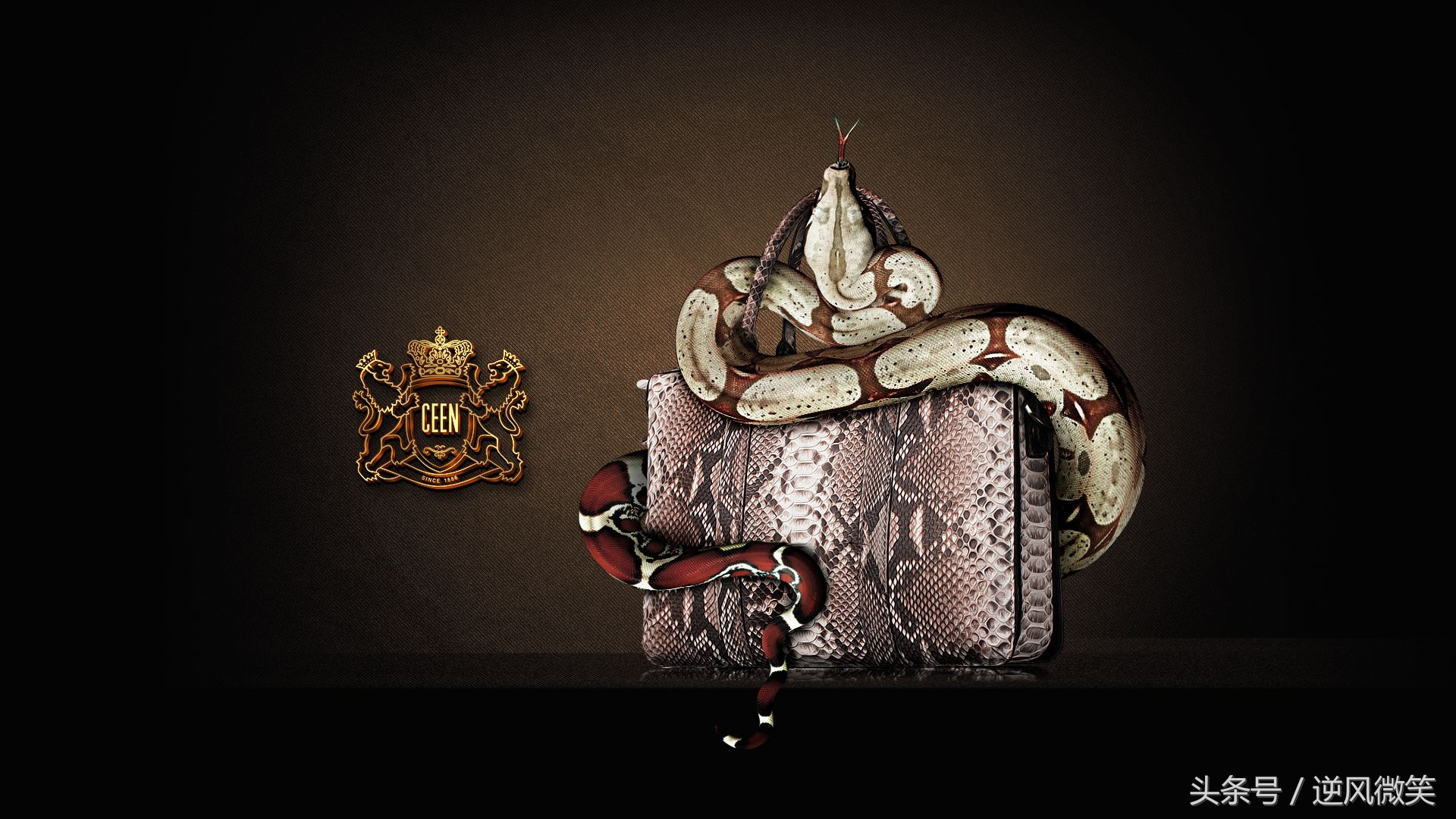 毕业几年你为什么那么优秀,学了设计才知道设计师的不易