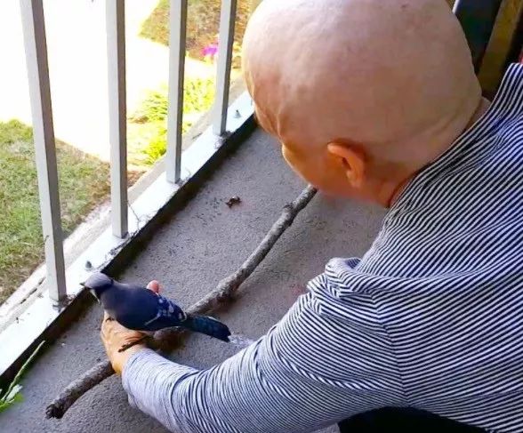 万物皆有灵性一个女孩救了只小鸟,万物皆有灵救小鸟