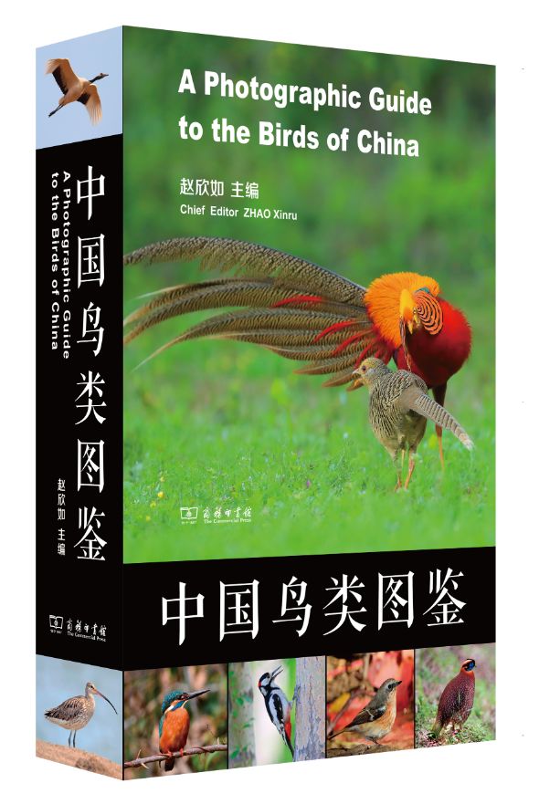 公务员必看的几本书,2025公务员书籍推荐