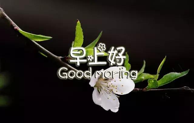 早上好祝福语优美句子图片大全,早上好祝福语优美句子冬天
