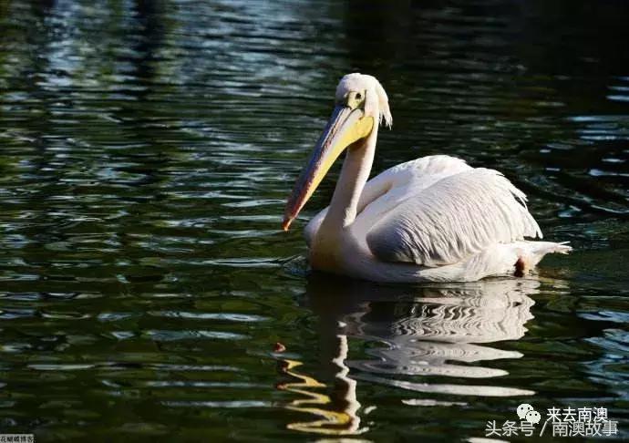 这座小岛究竟隐藏了多少秘密,一座鲜为人知的隐藏小岛