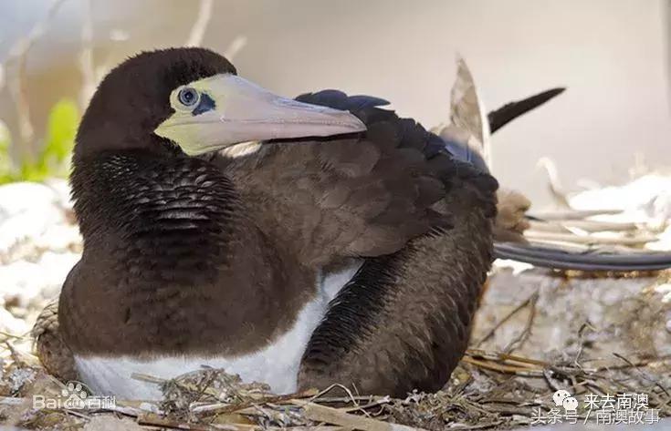 这座小岛究竟隐藏了多少秘密,一座鲜为人知的隐藏小岛