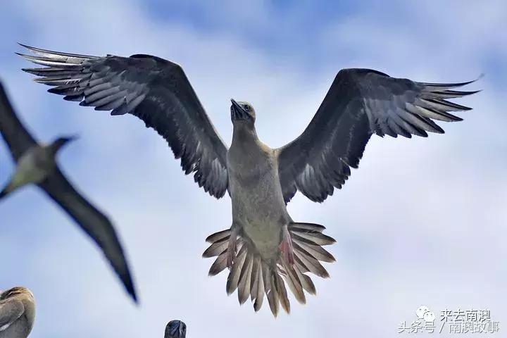这座小岛究竟隐藏了多少秘密,一座鲜为人知的隐藏小岛