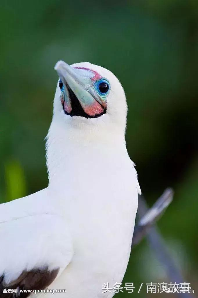 这座小岛究竟隐藏了多少秘密,一座鲜为人知的隐藏小岛