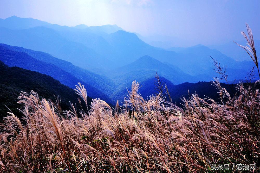 广州石门国家森林公园景点,广州山谷好玩的地方