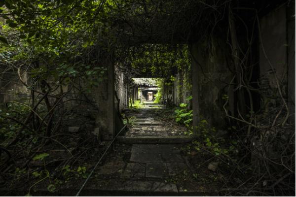 潮州网红打卡地绿太阳,来潮州必须打卡的景点全部