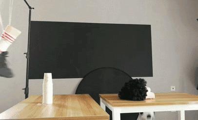 法国队取胜因素,法国队夺冠分析