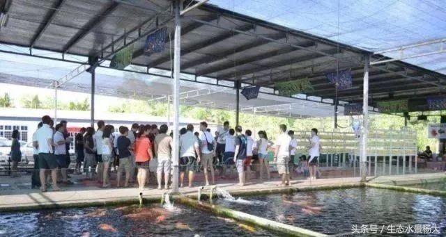 揭秘你不知道的江湖,你不知道的江湖