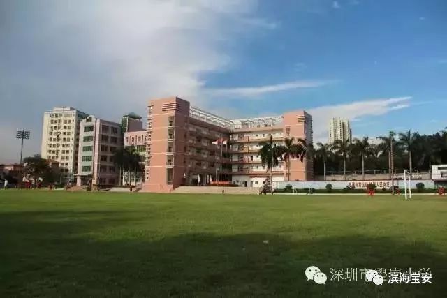 不用钱的夏令营,不要钱的夏令营