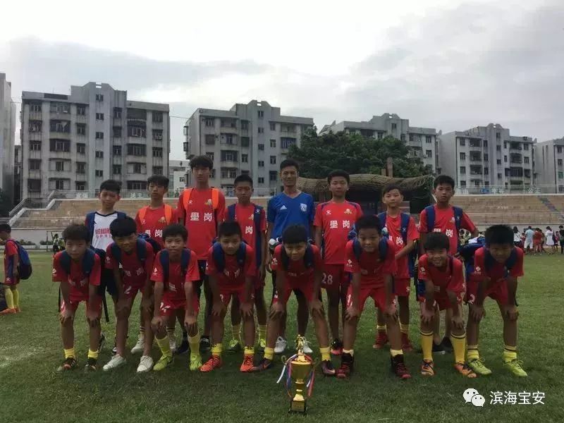 不用钱的夏令营,不要钱的夏令营