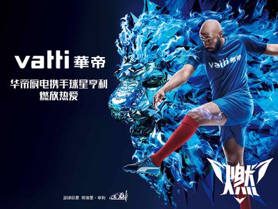 华帝世界杯视频,世界杯华帝事件是什么