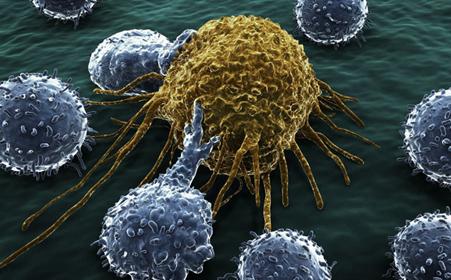 检查出hpv感染但是液基细胞学没事,检查发现感染hpv16怎么办