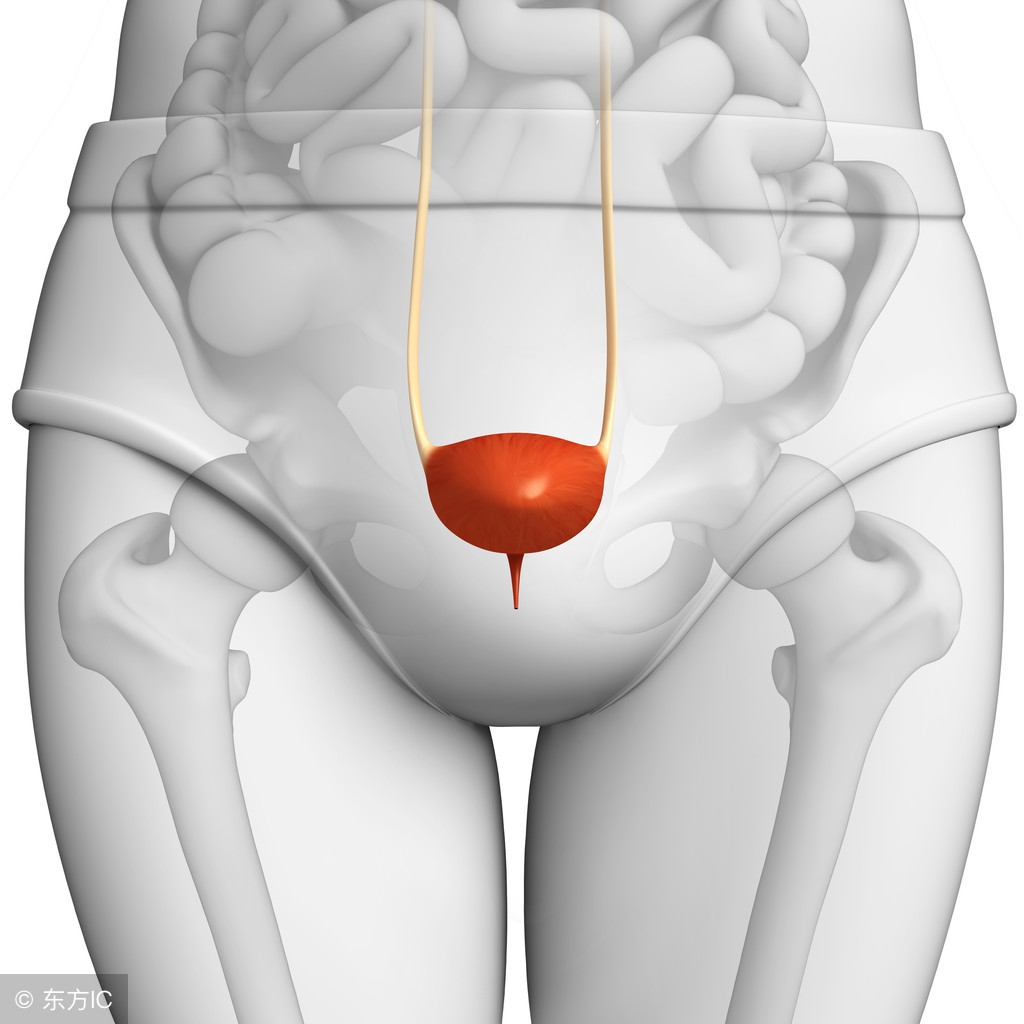 憋尿对膀胱的危害有多大,憋尿把膀胱憋炸了有什么症状