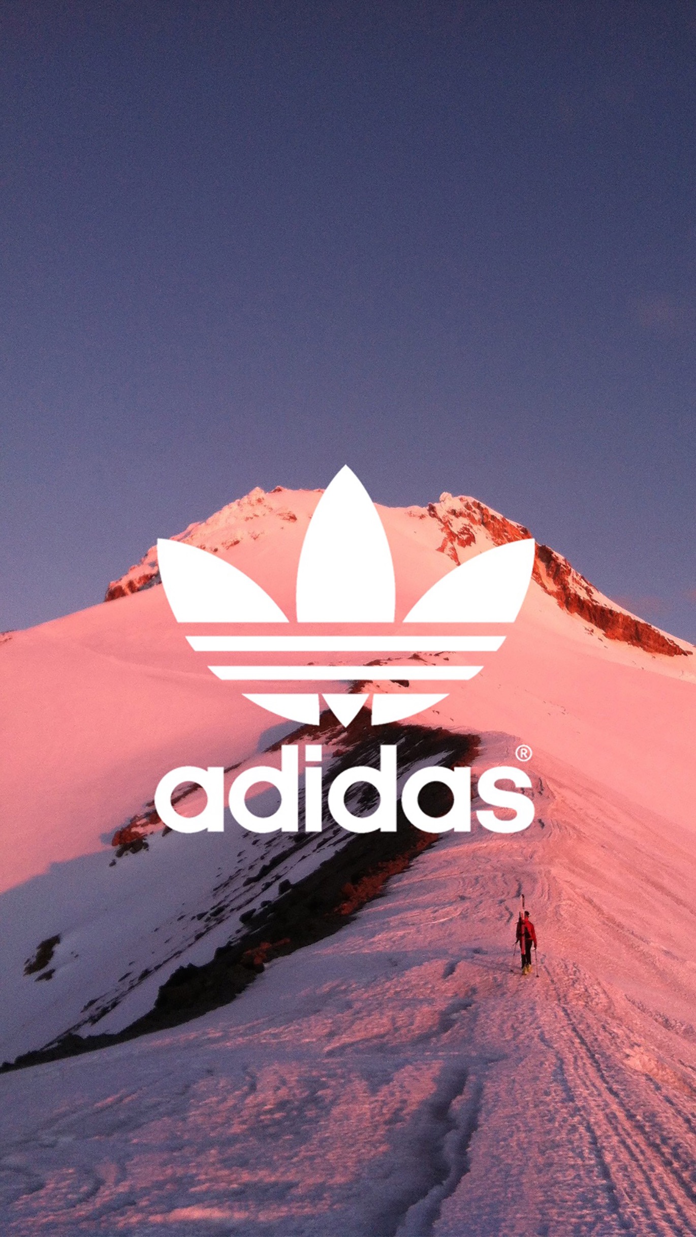 阿迪达斯三叶草图片壁纸高清,阿迪达斯壁纸全屏高清4k