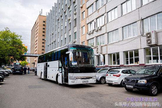 世界杯2018都有哪些队,2018世界杯的惊天秘密