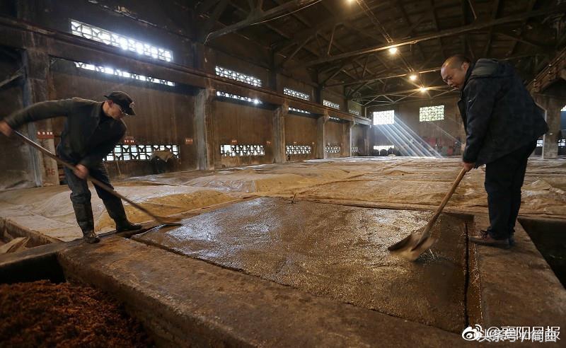 古隆中窖龄20年42度酒多少钱一瓶,古隆中窖龄12年浓香型白酒多少钱