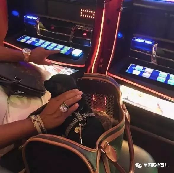 当众点了猪肉，这个土豪中东假王子现在要面临30年牢狱了